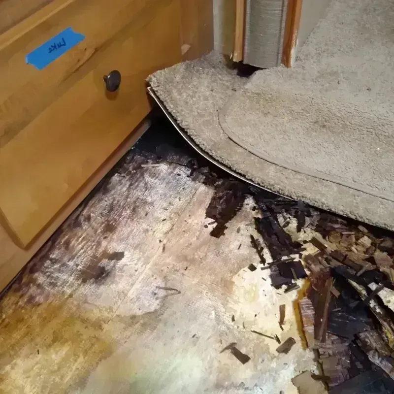 Best Wood Floor Water Damage Service in Cornville, AZ